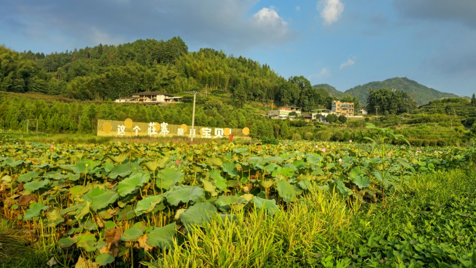 福建省永泰縣同安鎮(zhèn)：打好“三張牌” 走好鄉(xiāng)村振興“幸福路”