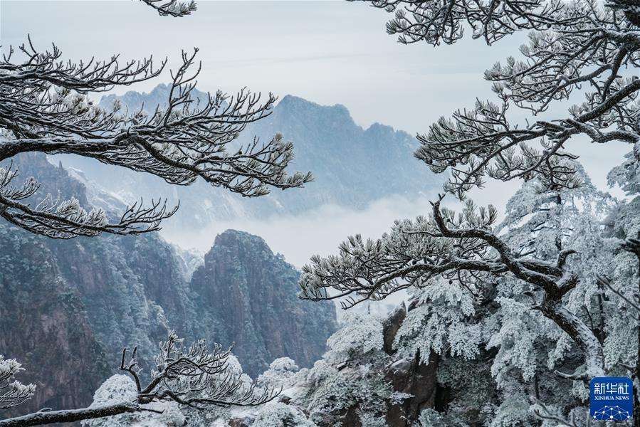 #（鏡觀中國·新華社國內(nèi)新聞照片一周精選）（1）黃山初春霧凇美