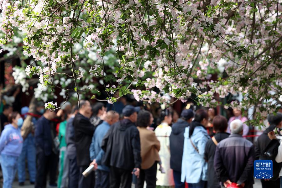 #（社會(huì)）（1）擁抱春天 樂享春光