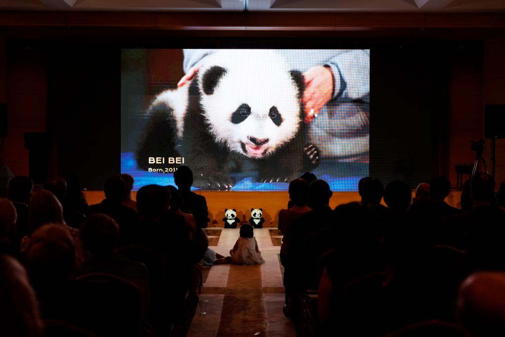 中國駐美使館同美國史密森學(xué)會(huì)國家動(dòng)物園聯(lián)合舉辦“大熊貓之夜”招待會(huì)