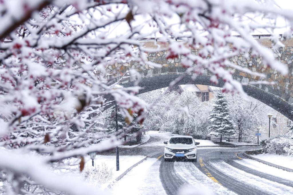 吉林多地迎來降溫降雪