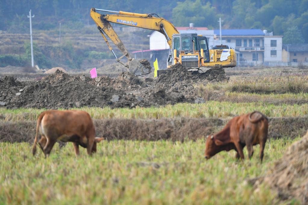 湖南湘潭：打造高標準農(nóng)田