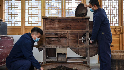 “絲路黑金”咸陽(yáng)茯茶誕生記