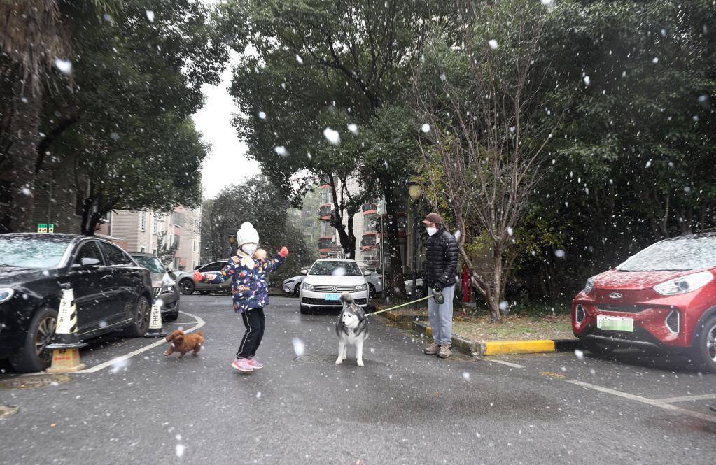 上海迎來降雪