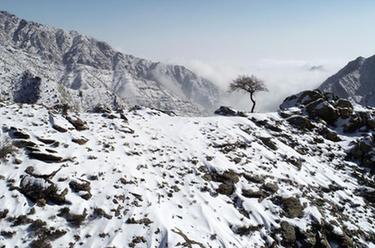 云蒸霧繞 雪后賀蘭山