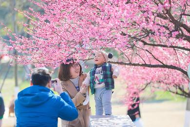 花開春意濃