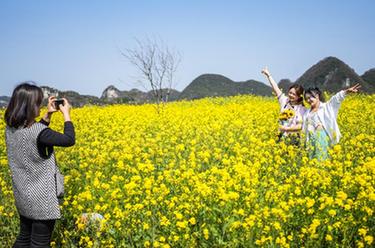 貴州六枝：油菜花開(kāi)引客來(lái)