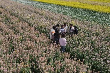 新華全媒+丨春天里的“試驗田”：青春伴著泥土芬芳