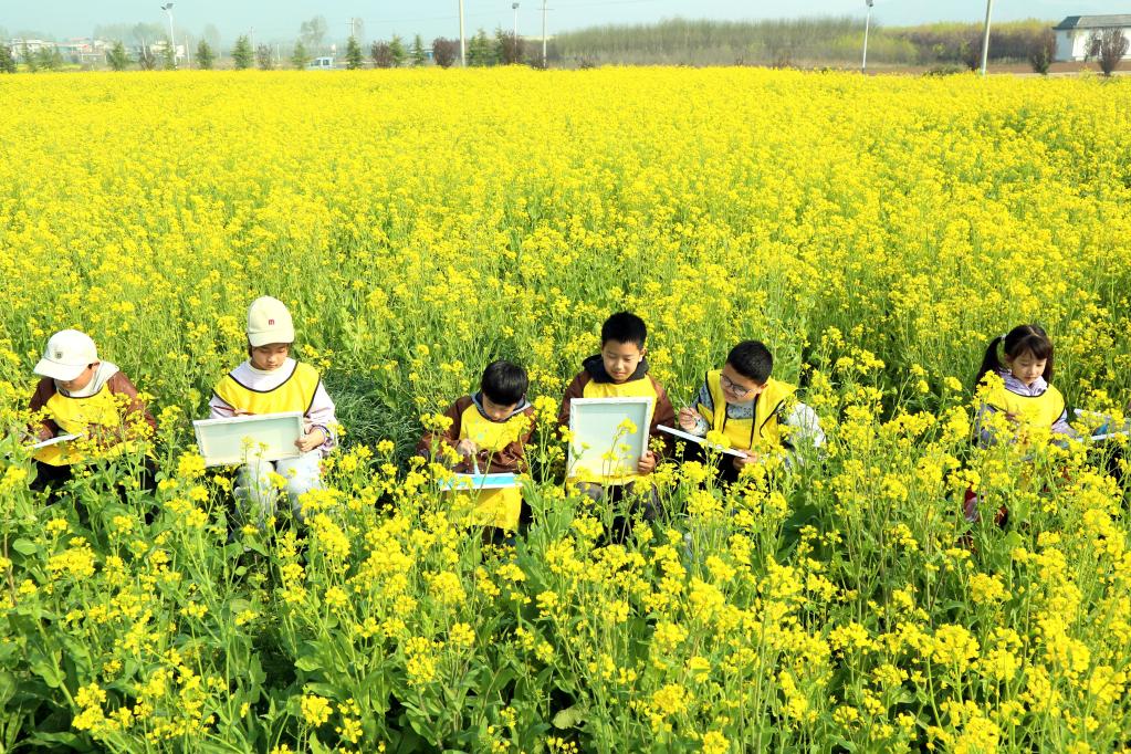 河南汝陽(yáng)：鐵頂山下花芬芳