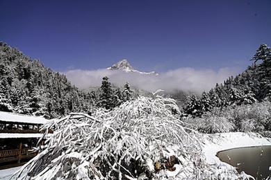 春雪潤官鵝