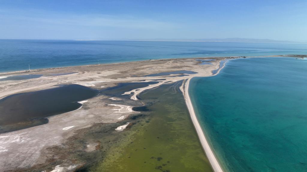 春臨青海湖