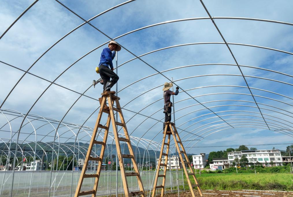 湖南常寧：智慧育苗大棚建設(shè)施工忙