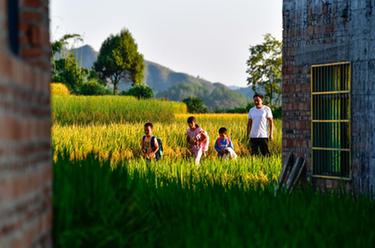 大山“微小學”的“守山人”