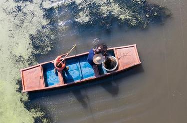 浙江湖州：特色太湖蟹養(yǎng)殖助力鄉(xiāng)村共同富裕