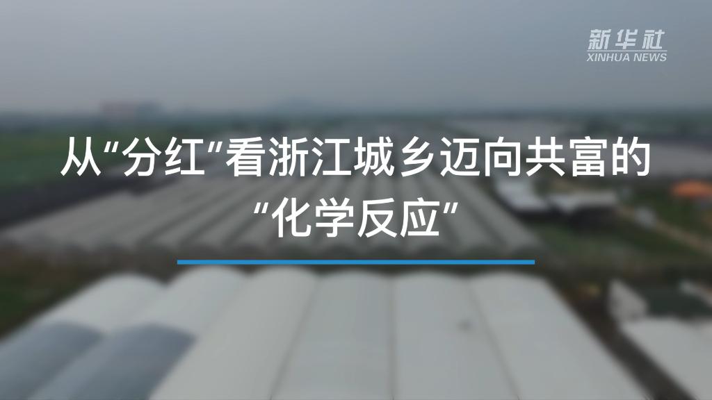 奮進新征程 建功新時代｜從“分紅”看浙江城鄉(xiāng)邁向共富的“化學(xué)反應(yīng)”