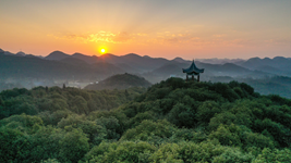 提升生態(tài)碳匯能力，植樹造林怎么干？