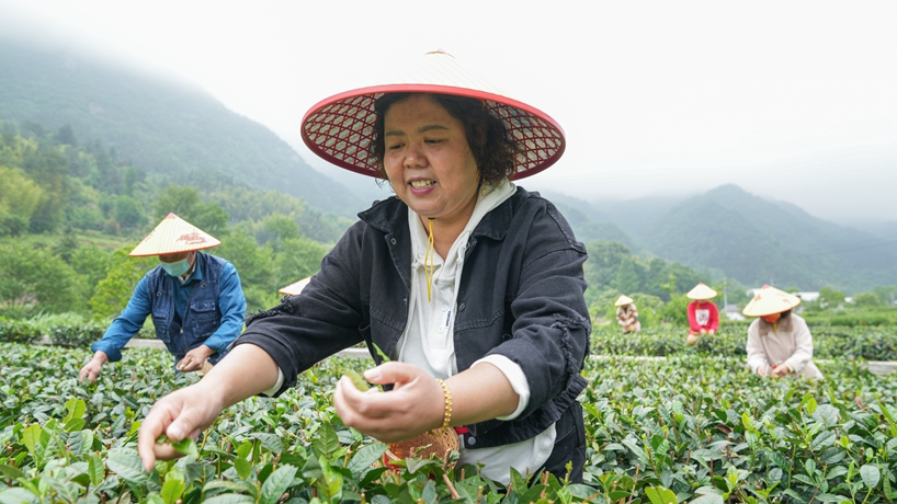 守“綠”換“金”！大別山區(qū)“兩山”實(shí)踐創(chuàng)新基地觀察