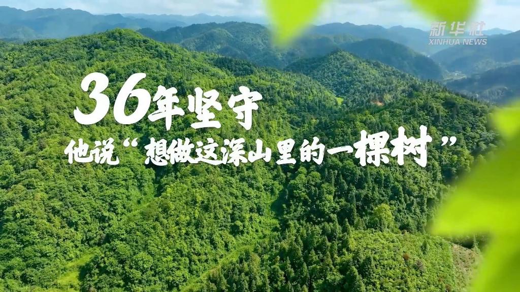 36年堅守！他說“想做這深山里的一棵樹”